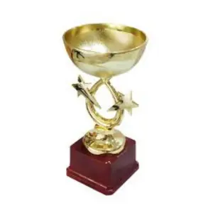 Awards, Trophies & Mementos